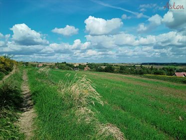 działka na sprzedaż 1506m2 działka Damice