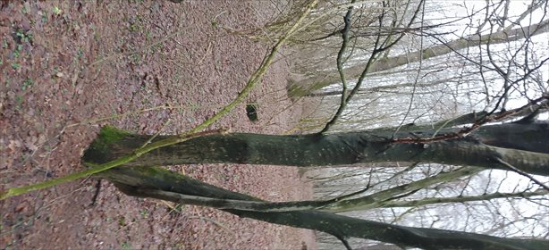 Działka na sprzedaż 3800m2 działka Osobnica, Osobnica