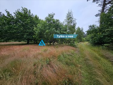 działka na sprzedaż 3003m2 działka Chłapowo