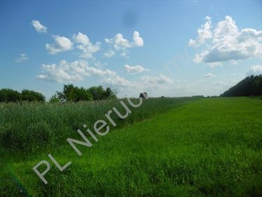 działka na sprzedaż 18000m2 działka Jeruzal