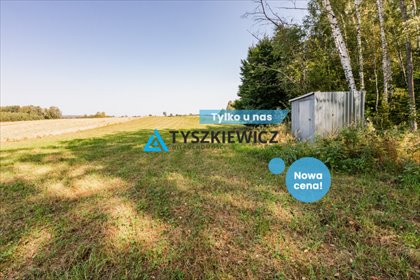 działka na sprzedaż 6500m2 działka Ełganowo, Macierzy Szkolnej