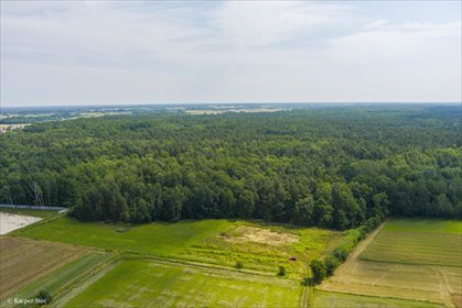 działka na sprzedaż 6300m2 działka Borki