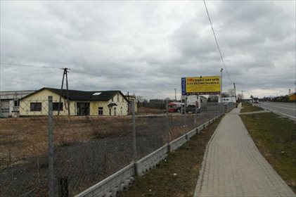 Działka budowlana na sprzedaż Dolna Grupa 3 204m2 Foto 4