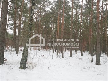 działka na sprzedaż 3110m2 działka Zawada