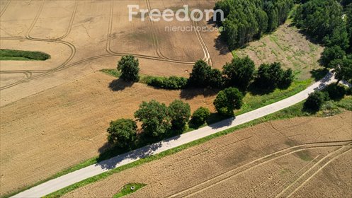 Na sprzedaż działka 3000 m² w Goszynie z warunkami zabudowy działka Goszyn
