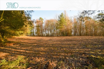 Działka budowlana na sprzedaż Ustarbowo, Na Wzgórzu 2 524m2 Foto 2