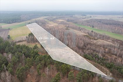 Działka rolna na sprzedaż Ręczaje Polskie 23 700m2 Foto 1