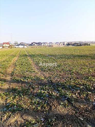 działka na sprzedaż 828m2 działka Świerklany Górne