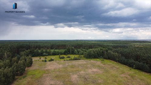 Działka rolna na sprzedaż Miłocice Małe 70 700m2 Foto 5