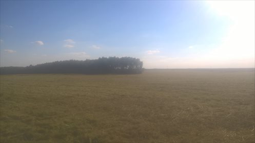 działka na sprzedaż 285500m2 działka Dąbrowica