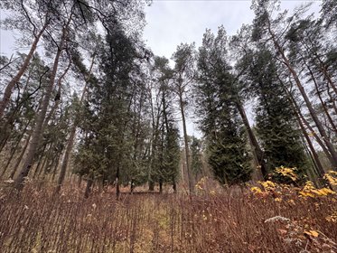 działka na sprzedaż 5850m2 działka piaseczyński