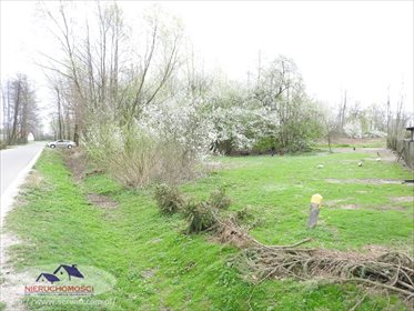 Działka budowlana na sprzedaż Dąbrówki Breńskie 2 900m2 Foto 2