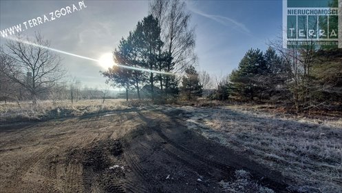działka na sprzedaż 12673m2 działka Grabowiec