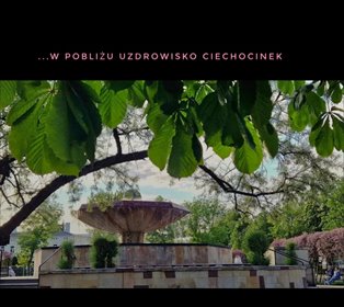 Umeblowane 3-pokojowe mieszkanie z garażem i ogródkiem mieszkanie Ciechocinek, Odolion, Wojska Polskiego
