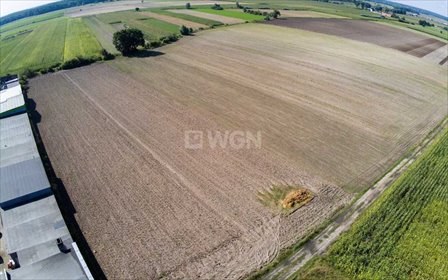 działka na sprzedaż 8200m2 działka Dębno Polskie, Ślusarska