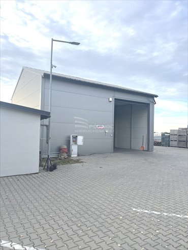 magazyn na sprzedaż 100m2 magazyn Zakroczym, Duchowizna