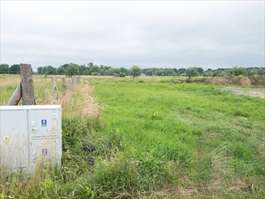 działka na sprzedaż 1000m2 działka Dobra