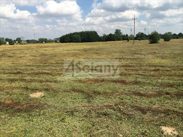 działka na sprzedaż 3004m2 działka Nowiny