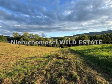 działka na sprzedaż 7000m2 działka Bukowiec