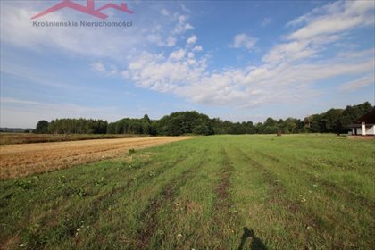 działka na sprzedaż 5342m2 działka Jedlicze