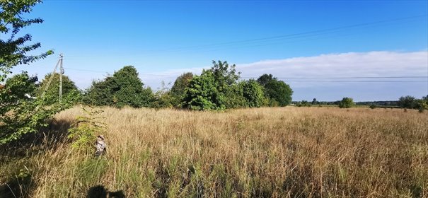 działka na sprzedaż 5400m2 działka Czarna