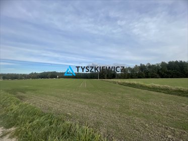 działka na sprzedaż 12600m2 działka Gdańsk, Klukowo, Zenitowa