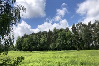 działka na sprzedaż 2300m2 działka Czerwińsk nad Wisłą, ROGUSZYN