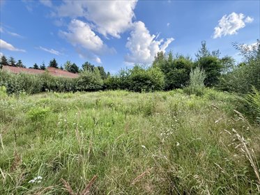 Bukowiec: Działka z WZ i pięknym Planem Ogólnym działka Bukowiec, Kazimierza Wielkiego