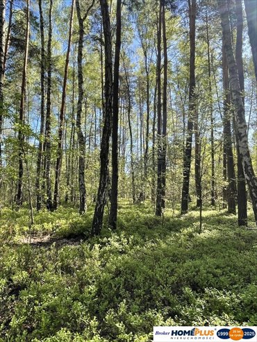 działka na sprzedaż 1116m2 działka Ciemne