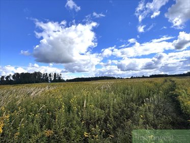 Działka 3009 m² z lasem - Żółwia Błoć - blisko Goleniowa działka Żółwia Błoć