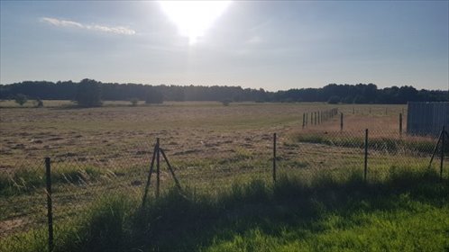 działka na sprzedaż 1100m2 działka Sarbsk