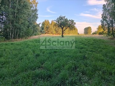 Polecam działkę 1,6ha z mediami, las, spokojna okolica działka Biernik