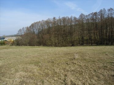 Działka budowlana na sprzedaż Kosowo 1 000m2 Foto 6