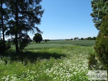 Dom na sprzedaż Elizówka 100m2 Foto 5
