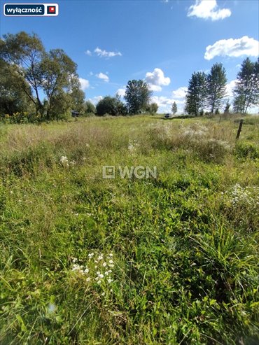 Działka 3499 m² z dostępem do drogi asfaltowej i zadrzewieniem działka Chruściele