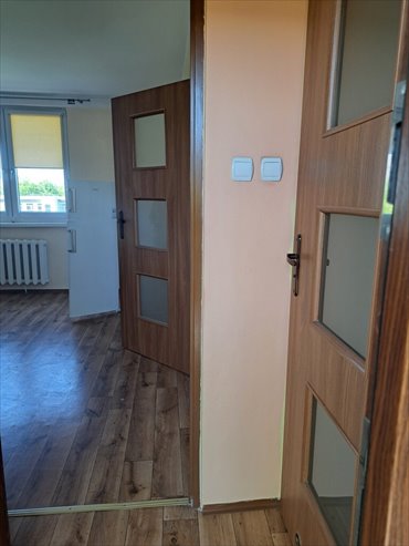 mieszkanie na wynajem 25m2 mieszkanie Grudziądz