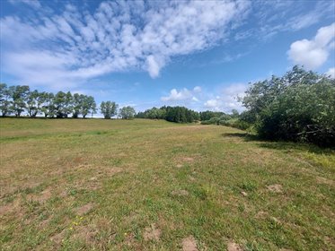 Polecam działkę z linią brzegową rzeki Wieprzy 25 554 m² działka Kowalewiczki, Kowalewiczki