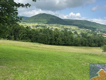 działka na sprzedaż 2859m2 działka Pisarzowa