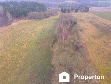 Działka rekreacyjna na sprzedaż Marszewska Kolonia 1 294m2 Foto 2