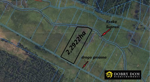 działka na sprzedaż 22922m2 działka Waliły