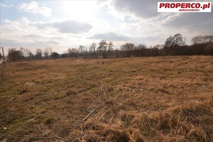 Działka inna pod dzierżawę Chęciny, Sitkówka 7 430m2 Foto 3