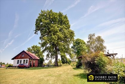 Sprzedam energooszczędne siedlisko 3500 m² w otulinie Biebrza dom Kapice