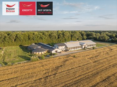 działka na sprzedaż 28600m2 działka Krubki-Górki