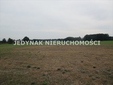 Duża działka 8776 m2 z możliwością podziału. działka Kruszyn Krajeński