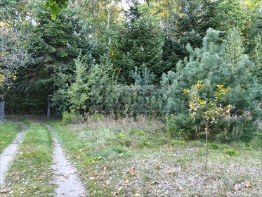 Polecam działkę 1250 m² w Ojrzanowie z MPZP i mediami działka Ojrzanów