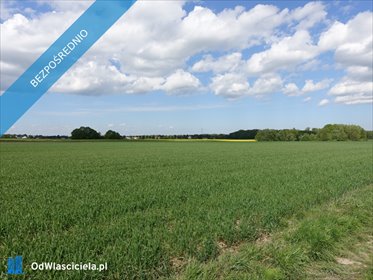 Działka 11 500 m² pod dom i stadninę, bez prowizji - polecam! działka Skoczów