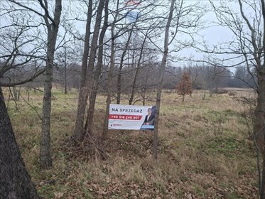 działka na sprzedaż 6000m2 działka Ostrówek