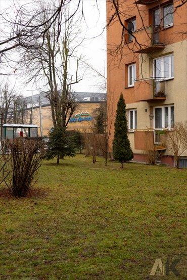 mieszkanie na wynajem 38m2 mieszkanie Nowy Sącz