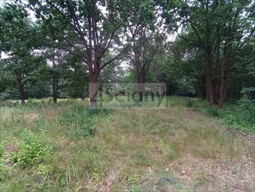 działka na sprzedaż 1450m2 działka Józefów