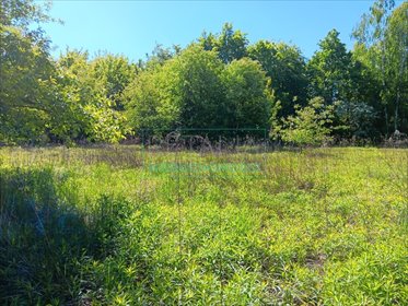 działka na sprzedaż 1973m2 działka Chrzanów Mały